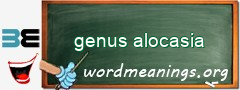 WordMeaning blackboard for genus alocasia